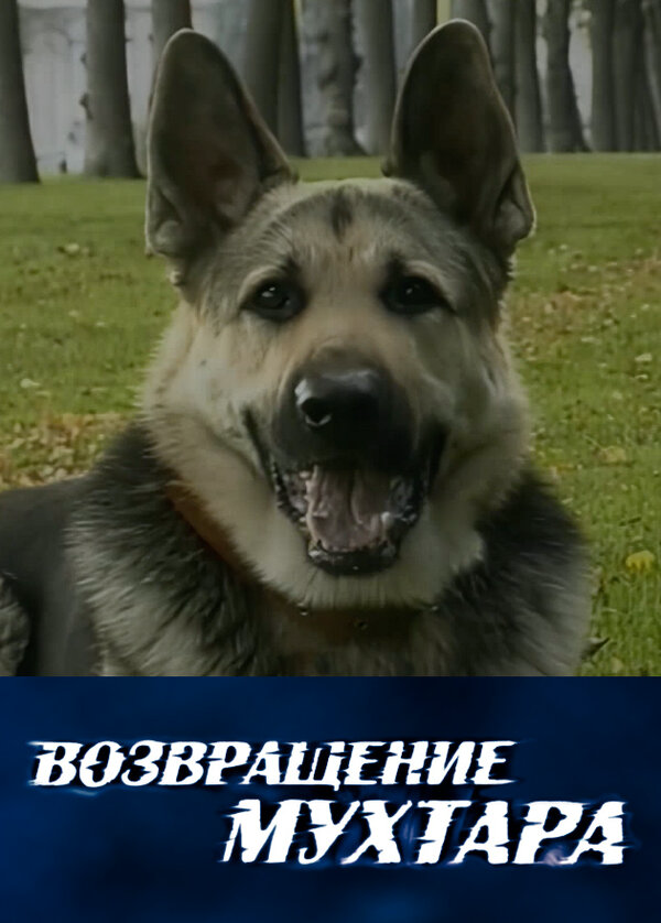 Возвращение Мухтара 2003 постер
